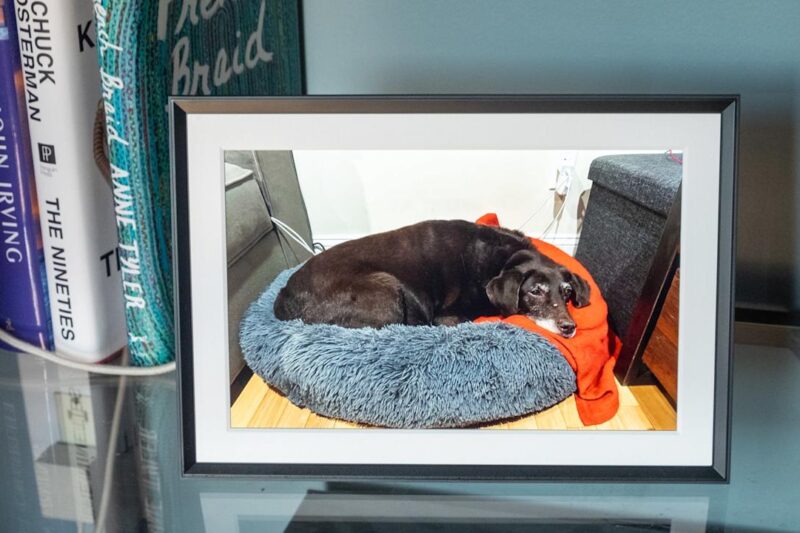 The best digital frames for 2025